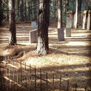 Eerieville's graveyard 