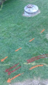 arrows on grass